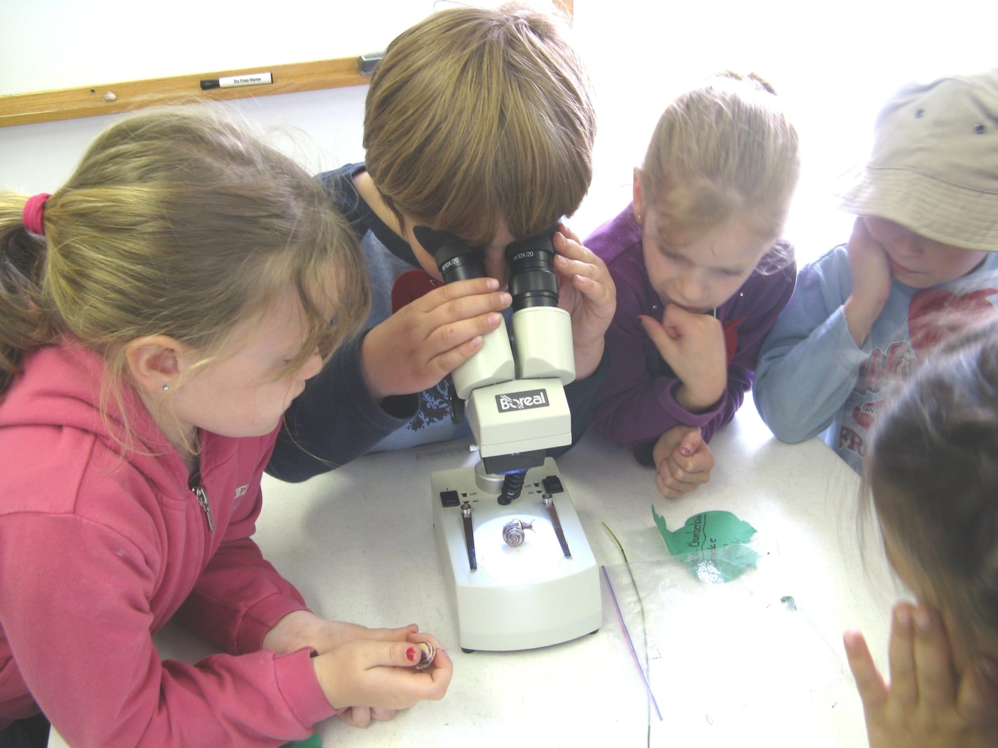 Science For Everyone: Selecting and Implementing Engaging STEM ...