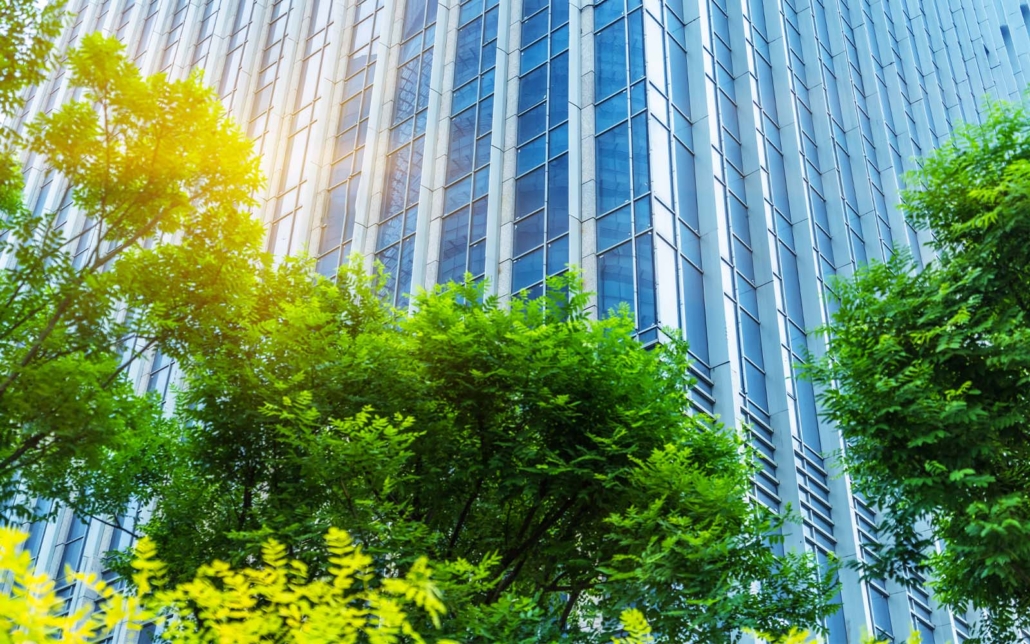 Building and Nature