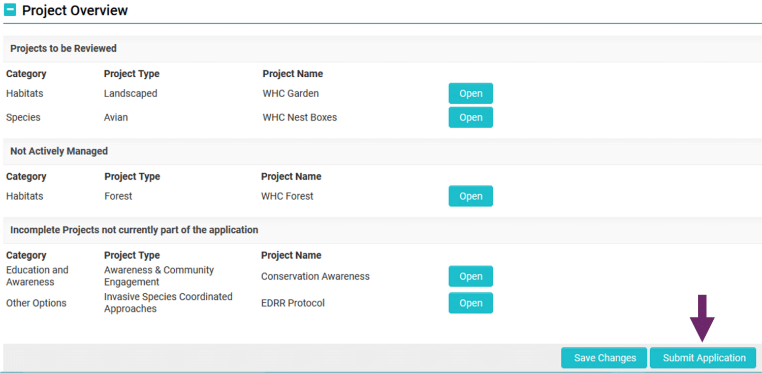 Finalizing and Submitting Your Application - Tandem Global